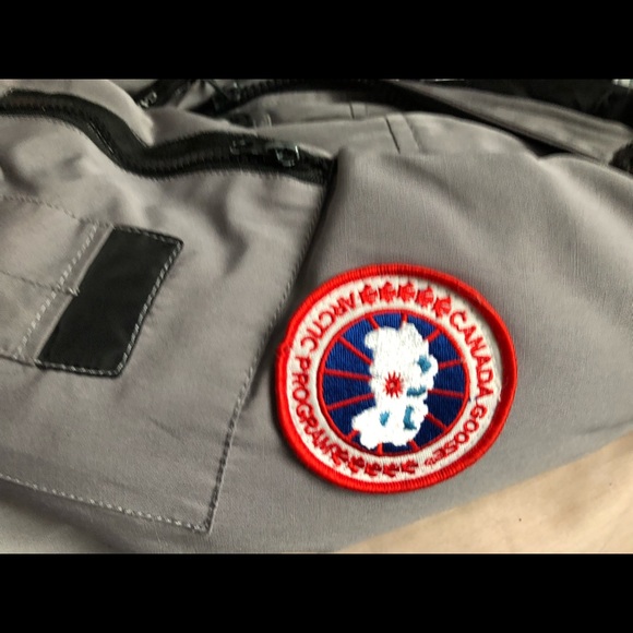 Gray Canada goose for sale - Picture 9 of 11